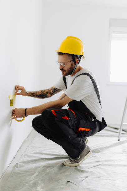 Best Wallpaper Removal and Painting  in Stockton, IL