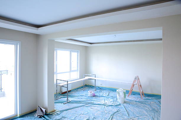 Best Ceiling Drywall Installation  in Stockton, IL