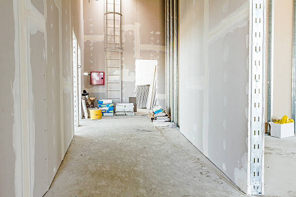 Professional Drywall and Painting Service in Stockton, IL